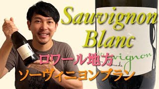 【フランス ロワール ソーヴィニヨン・ブラン】夏はSB！！ナチュラルに造られた染み渡る美味しさ！ ゆきおとワイン66「Hervé Villemade Sauvignon 2018」