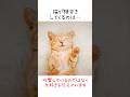 猫の頭突きに関しての秘密を暴露！【猫の雑学】かわいい秘密10選😭#shorts #ねこのきもち #ねこ