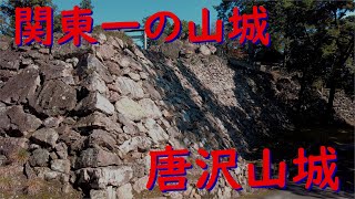 城ぶらり　関東一の山城『唐沢山城』猫の城！