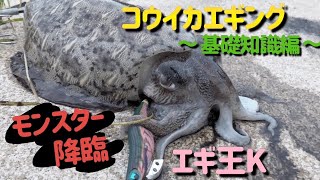 春イカエギングでモンスター捕獲！！誰でも簡単に釣れる信頼のエギ、基本的な装備を解説します！！