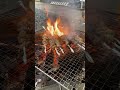 焚き火焼き鳥