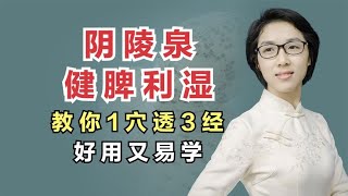 阴陵泉可以健脾利湿，消肿止痛，教你1穴透3经，好用又易学