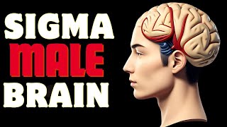 10 Ways The Sigma Male Brain Is Wired Differently