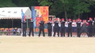 松島中学校応援団演舞  2016.5.15