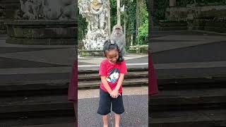 Ketika Ara Minta Tolong Dinaikin Monyet Sm Bli Baik Sangeh Monkey Forest. Takut Jatuh Tarik Rambut 🐒