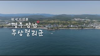 🌳 한국의 아름다운 자연유산 - 경주 양남 주상절리군 🌳