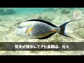 【感動する話】下請けと勘違いして大口取引先に2代目社長が水をぶっかけてきた「俺らのおかげで飯が食えてんだろ？工場勤務の貧乏人がw」→後日、大激怒した先方によってとんでもない事態に…【泣ける話・いい話】