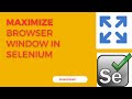 Maximize browser window in Selenium | Java