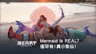 《潛在挑戰中》Mermaid Is REAL?🧜‍♀️  極罕有！真小魚仙！