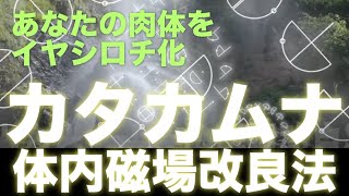 【カタカムナ体内磁場改良法】あなたの肉体をイヤシロチ化〜奇跡の古代文明カタカムナ〜【健康で快適な毎日を過ごすために・・・【波動調整】生体リズムを整える【浄化】悪霊祓い