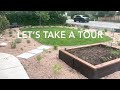 creating a colorado native plant garden replace a sod lawn to reduce water and promote biodiversity