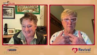 The Tough Decisions That Define a Breeding Program with Dr Marty Greer DVM