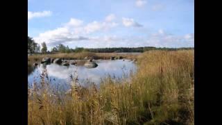 Autumn at Bodvatten - Panike nature trail