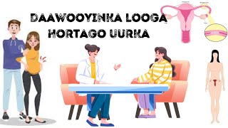 Daawooyinka Uurka Looga Hortago | Dhibaatooyinka ay leeyihiin | Dr. Abdiaziz.