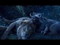 Simba Night Sky Scene | THE LION KING | Movie Scene (2019)