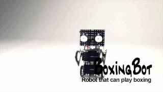 [ROBOROBO EDUCATION] ROBO KIT 3 - BOXING BOT