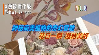 (三大有線)藝術搞什麼 NO.8《神秘南美植物的奇幻冒險》《花日一瞬凝結美好》