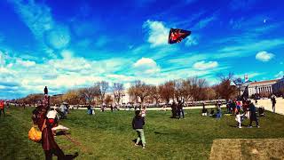 Cherry Blossom and kite festival at Washington D.C