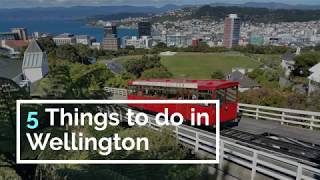 5 Things to do in Wellington