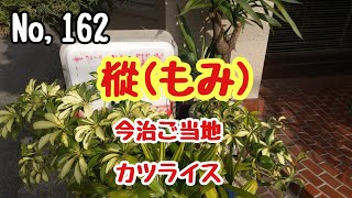 【樅（もみ）】今治老舗喫茶店でカツライスを食べたら最高でした✨🤓👍️