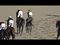 【現地】2024 大阪スポーツ杯 デリカダ 三浦 皇成【京都競馬場】