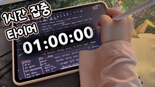 ⏰ 시간 순삭! 1시간 집중 공부 📚 1시간 타이머 | 스터디 윗 미 | 아이패드 필기 ASMR