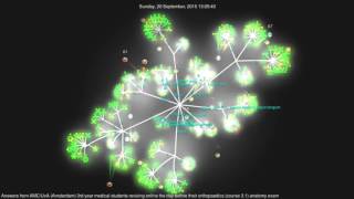 Anatomy cramming visualised: 50687 answers in 24 hours