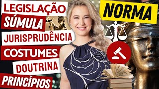 INTRODUÇÃO AO DIREITO - Norma, Legislação, Jurisprudência, Súmula, Costumes, Doutrina e Princípios