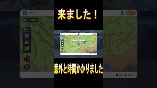 【ポケモンSV】オシャボ入り色違いイーブイを厳選‼