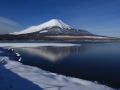 山中湖から四季折々の富士山