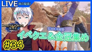 【MHRise/モンハンライズ】夜の参加型狩猟配信 ＃34【大導詩翔燈/VTuber】