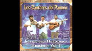 Cantores del Panuco - El bejuquito
