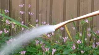 盆栽銅製如雨露　英国型小ノズル (Copper Watering Can about 4L and 6L \