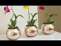 COMO FAZER VASOS DECORATIVOS COM BALÃO E GESSO| #VASOFEITODEBEXIGAEGESSO #VASODEGESSO #VASOORQUÍDEAS