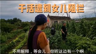 在菜园里自作主张做啥事？却遭到女儿百般阻拦，等着秋天见分晓！