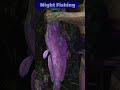 night fishing #shorts #fishing #short #youtubeshorts #viral