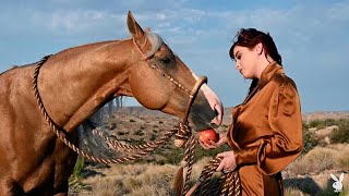 Playboy Classic Plus HD - Odette