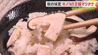 【キノコの王様マツタケ】追跡！野菜のお値段【ライブBBT】