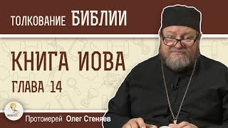 КНИГА ИОВА. Глава 14 \