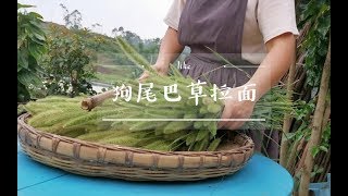 【狗尾巴草拉面】石纪元用狗尾草拉面征服一个村的人，龙门小丫用狗尾草做食材，做了一碗拉面征服了一个院子的人