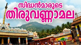 ജ്ഞാനികളുടെ തപോഭൂമി | തിരുവണ്ണാമല | #tiruvannamalai #ramanamaharshi #arunachaleswarartemple