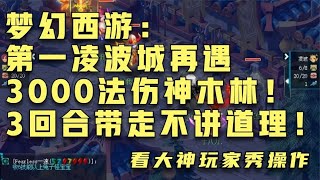 梦幻西游：第一凌波城再遇3000法伤神木林！3回合带走不讲道理！