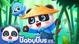 Superhéroe Bebé Panda | Dibujos Animados | Videos para Niños | BabyBus en Español