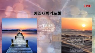 예일교회 Yeil Church Live 2020.12.27.(일)  \