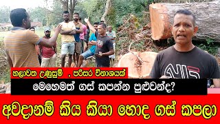 හලාවත උණුසුම් පරිසර විනාශයක් මෙහෙමත් ගස් කපන්න පුළුවන්ද  #mojonewslk