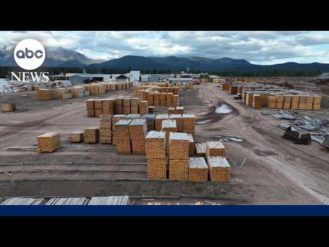 When the timber industry in Montana experiences an economic slump?