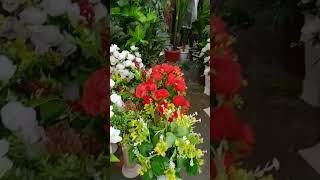 കണ്ടാൽ തോന്നുമോ ഇത് ഒറിജിനൽ അല്ലെന്നു./ artificial flowers and plants #shorts #jophyvagamon