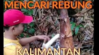 Mencari Rebung Kalimantan