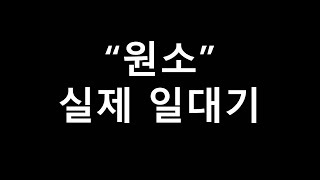 삼국지 원소 실제 일대기