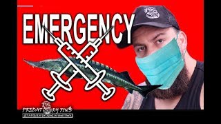 FISH EMERGENCY SURGERY * Saving our Stergeon